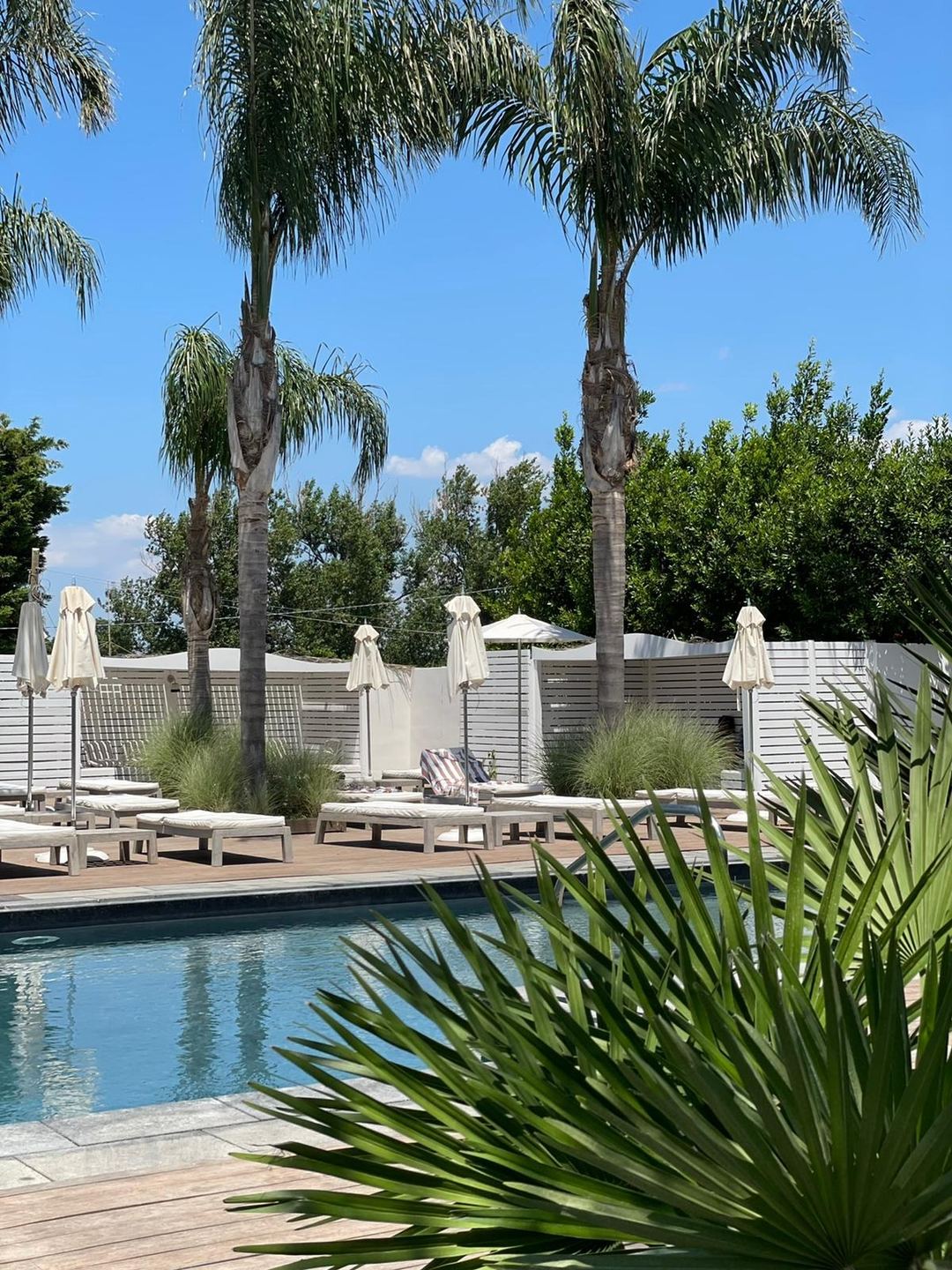The hotel's swimming pool area features elegant white loungers and umbrellas beneath tall palm trees with a modern white fence enclosure.